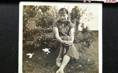 歪歪漫画登录页面免费漫画入口首页